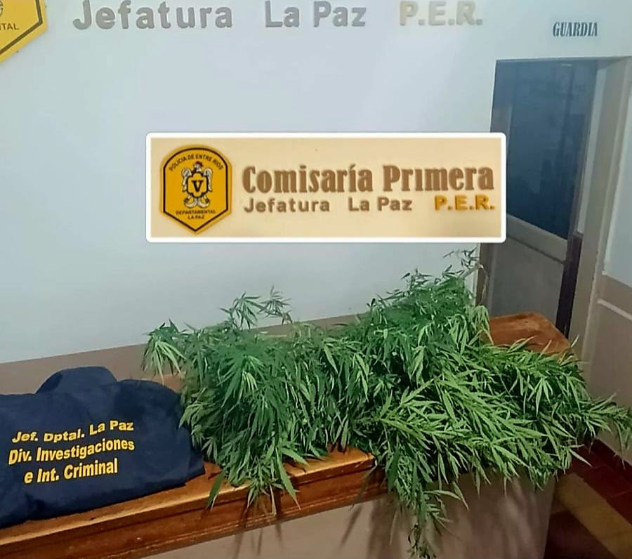 Secuestran marihuana en un allanamiento por robo